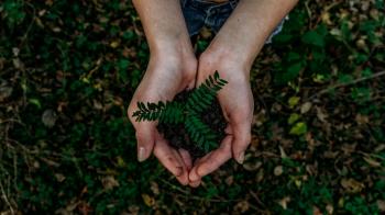 Igrejas do sul do país querem definir ações para combater as mudanças climáticas